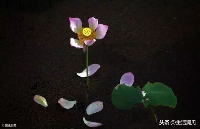 和朋友關係再好,也要留心這個問題