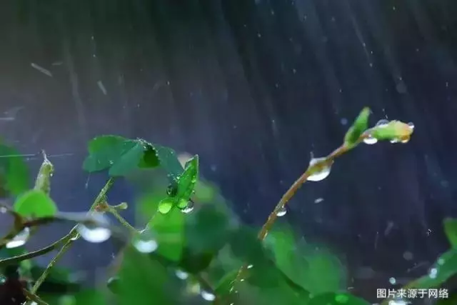 人總要有點東西,活著才有意義