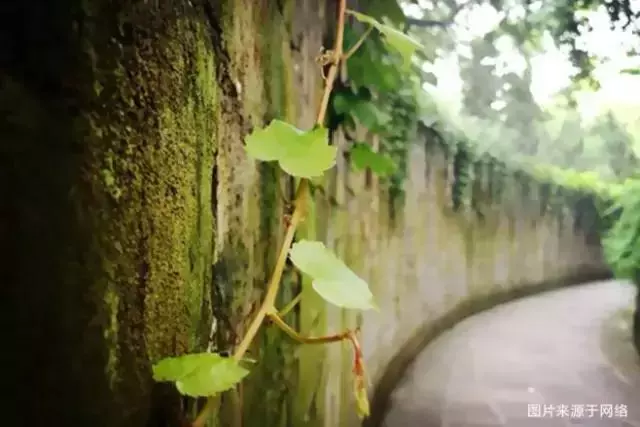 人總要有點東西,活著才有意義