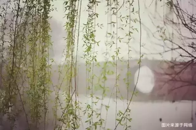 人總要有點東西,活著才有意義