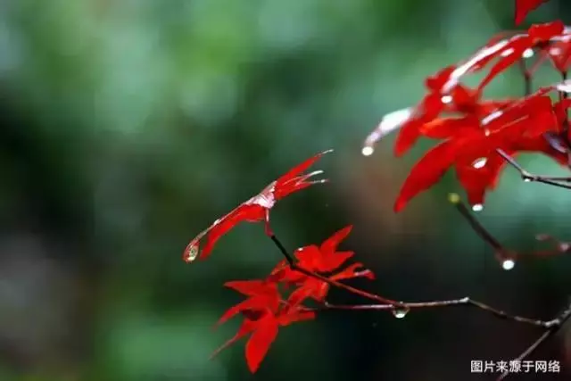 人總要有點東西,活著才有意義