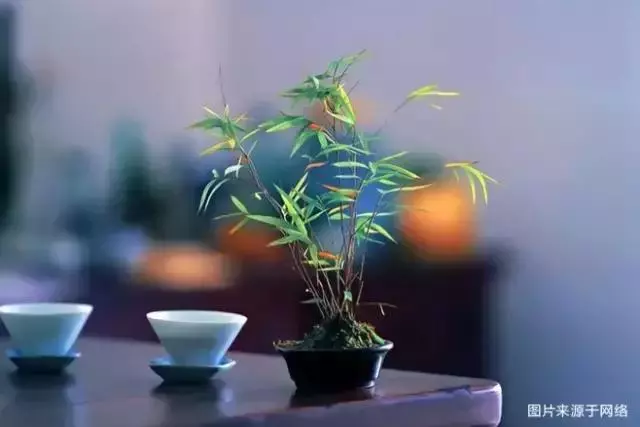 人總要有點東西,活著才有意義