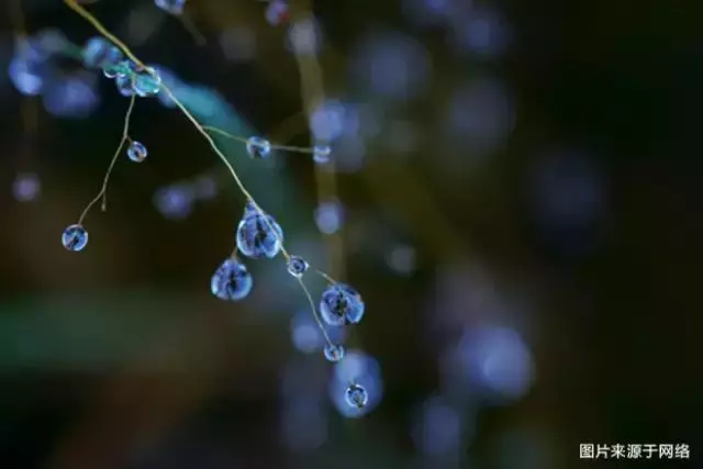 人總要有點東西,活著才有意義