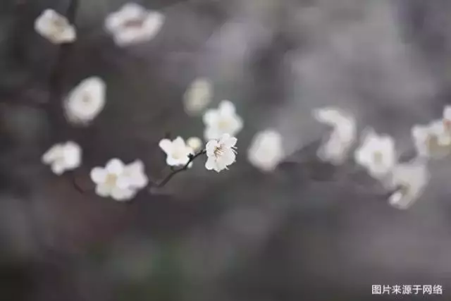 人總要有點東西,活著才有意義