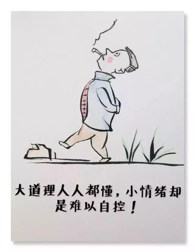 人生本就是苦難的修行,尋找幸福,不如經營幸福