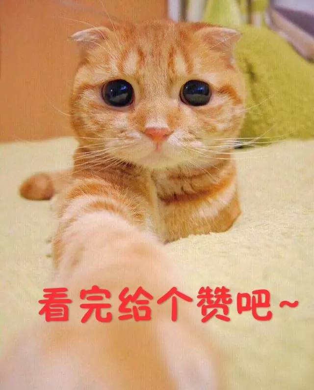 林峰女友張馨月曬健身視頻,小腹平坦全無孕相,力破懷孕傳聞!