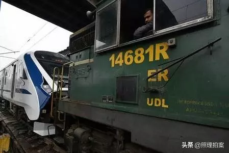 印度人把牛供為神,但為何印度又成為了全球最大的牛肉出口國?