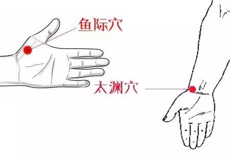 人體共409穴位，這15個穴位尤其重要，1分鐘學會如何自治！