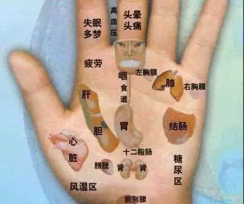人體共409穴位，這15個穴位尤其重要，1分鐘學會如何自治！