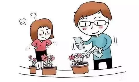 喝剩的水隨便一倒？改變這個習慣，你的盆栽還有救