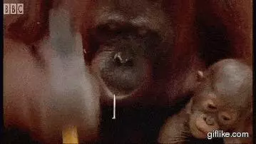 這十張程式設計師圖片，能讓你笑出八塊腹肌
