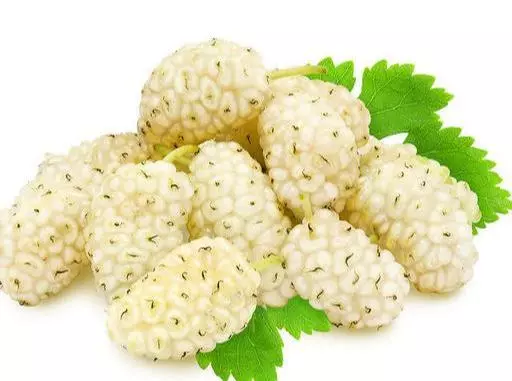 每天食用桑葚,桑葚的營養有多少,先看先知