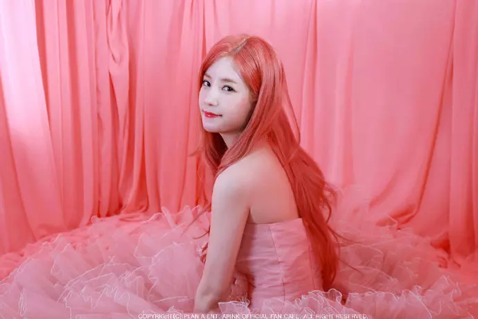 [Apink][分享]190303 今天的壽星真的超級美啦！官方最喜歡在生日的時候放絕美「私藏」畫報啦！