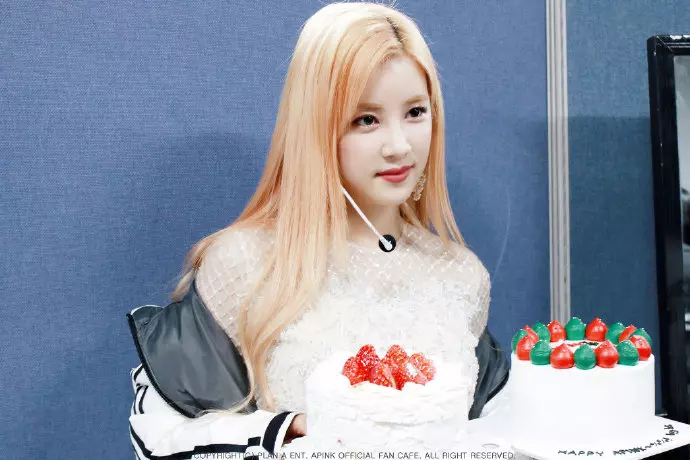 [Apink][分享]190303 今天的壽星真的超級美啦！官方最喜歡在生日的時候放絕美「私藏」畫報啦！