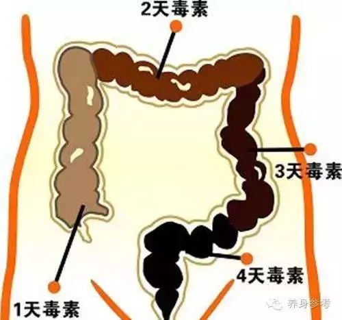 老年人有三怕,一怕摔跤,二怕激動,三怕便秘而便秘又是一種多發病、常見病