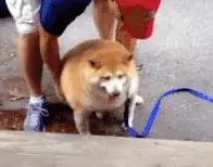 每日一笑,你開門時的表情決定了老婆的心情