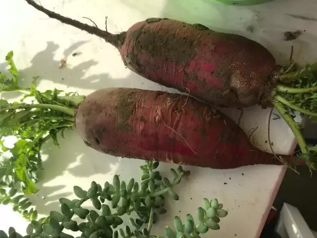 新奇特蔬菜品種大集合,你可能都沒有見過!