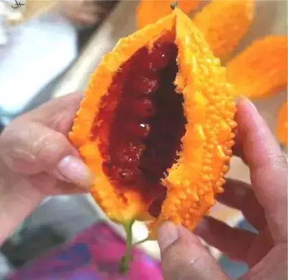 新奇特蔬菜品種大集合,你可能都沒有見過!