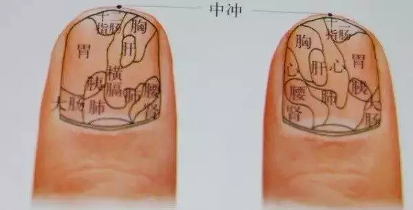 從手指甲就可以看出一個人的健康!你知道指甲上一條一條的橫紋縱紋代表什麼意思嗎?