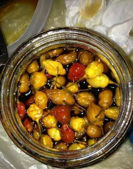 半瓶大蒜,半瓶辣椒,「再加點它」,醃上30天,做好後全都搶著吃,一年得做幾十瓶 |防癌降血糖!