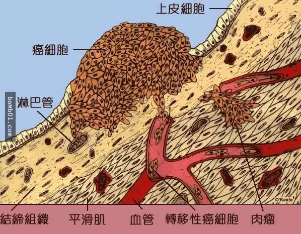 日本人靠著「喝白開水」預防癌細胞滋生,關鍵就在1個簡單到不行的步驟!