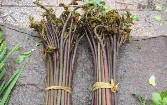菜市場「最髒」的3種蔬菜,吃一口傷一次肝,很多人還不知道!