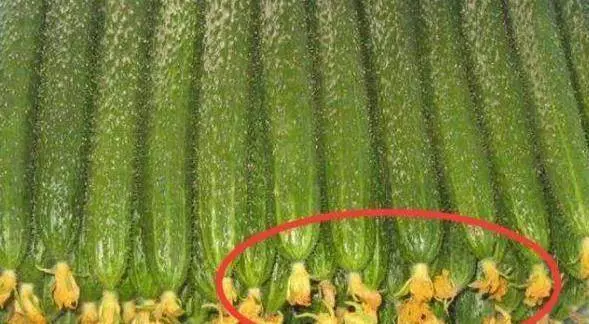 菜市場「最髒」的3種蔬菜,吃一口傷一次肝,很多人還不知道!