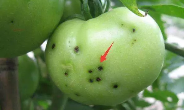 菜市場「最髒」的3種蔬菜,吃一口傷一次肝,很多人還不知道!