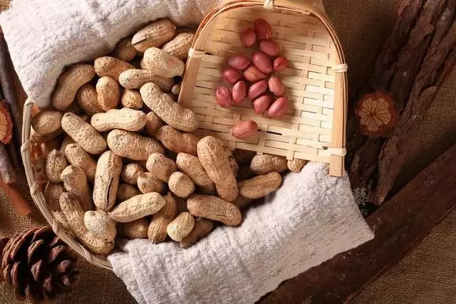 停不下嘴的堅果零食,怎麼吃才健康?吃貨必看