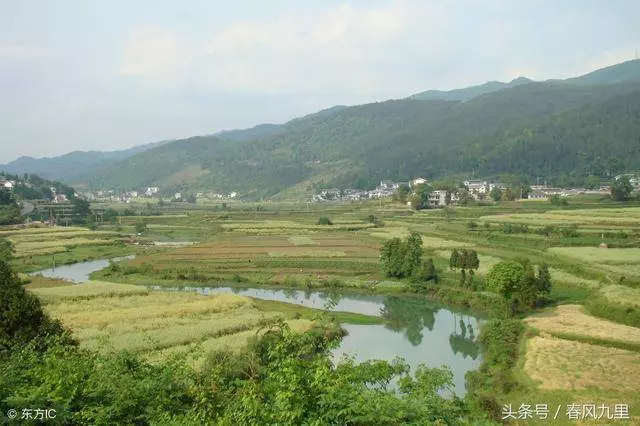 新郎開拖拉機迎親,妹妹逃婚,姐姐代嫁,多年後姐姐開豪車住別墅