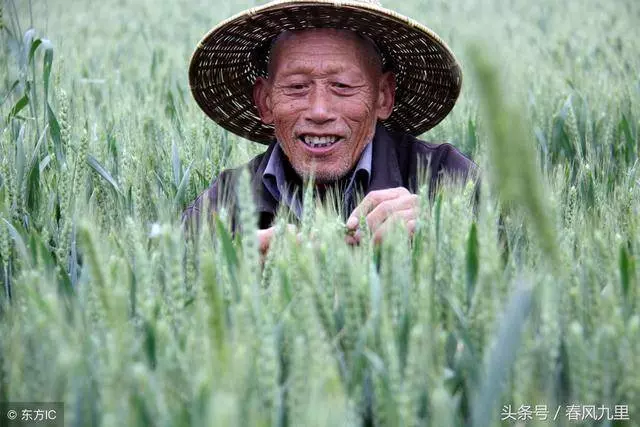 新郎開拖拉機迎親,妹妹逃婚,姐姐代嫁,多年後姐姐開豪車住別墅