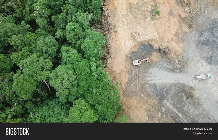 還以為都是真的! 11張「把大家都騙慘了」的網路瘋傳照片
