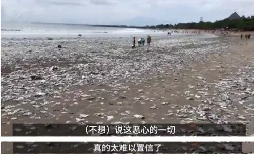 慘不忍睹!巴厘島被垃圾包圍,曾經的度假天堂,如今竟成這副模樣!