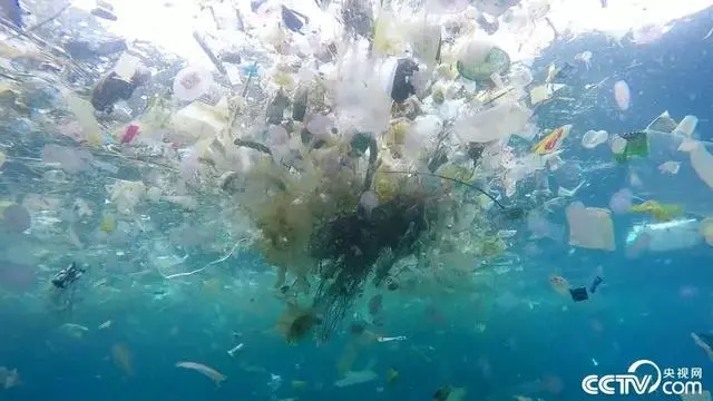 慘不忍睹!巴厘島被垃圾包圍,曾經的度假天堂,如今竟成這副模樣!