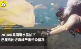慘不忍睹!巴厘島被垃圾包圍,曾經的度假天堂,如今竟成這副模樣!