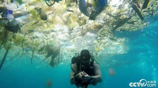 慘不忍睹!巴厘島被垃圾包圍,曾經的度假天堂,如今竟成這副模樣!