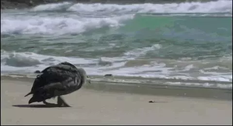 慘不忍睹!巴厘島被垃圾包圍,曾經的度假天堂,如今竟成這副模樣!