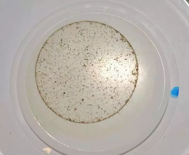 慘不忍睹!巴厘島被垃圾包圍,曾經的度假天堂,如今竟成這副模樣!