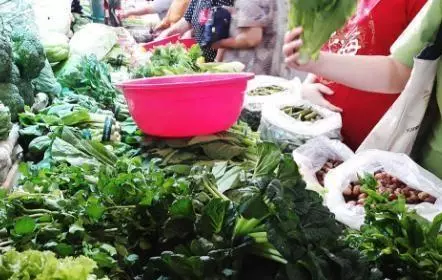 兒子去世我讓兒媳改嫁,我去外面買個菜,回來我愧疚不已!