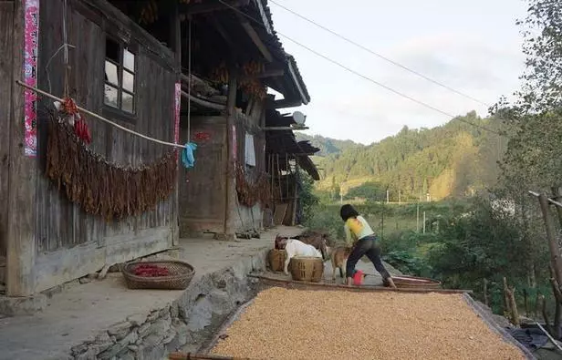 女兒遠嫁窮小子,父親和她賭氣7年沒見面,他卻不知女兒早已去世