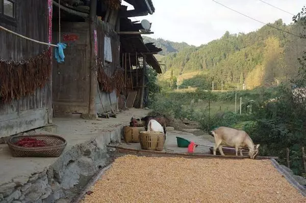 女兒遠嫁窮小子,父親和她賭氣7年沒見面,他卻不知女兒早已去世