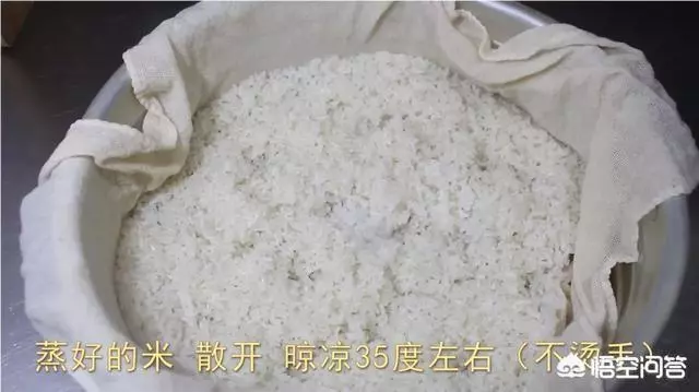 甜酒(醪糟)在家怎麼自製?