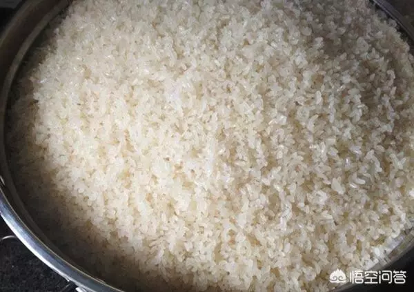 甜酒(醪糟)在家怎麼自製?