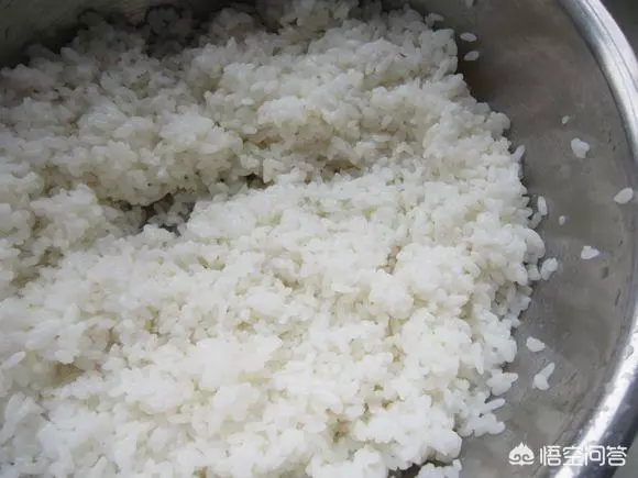 甜酒(醪糟)在家怎麼自製?