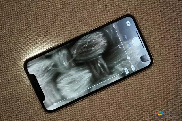 能夠400倍放大的可攜式顯微鏡,粘在手機上就能用!