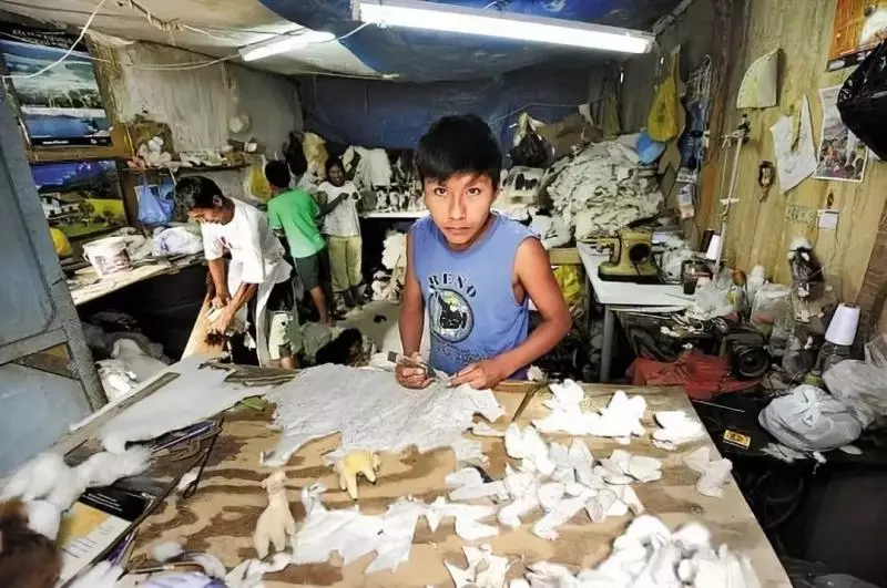 被老師罵瘋子,7歲男孩開「垃圾」銀行,自己當銀行行長,竟有2000人爭相存錢!