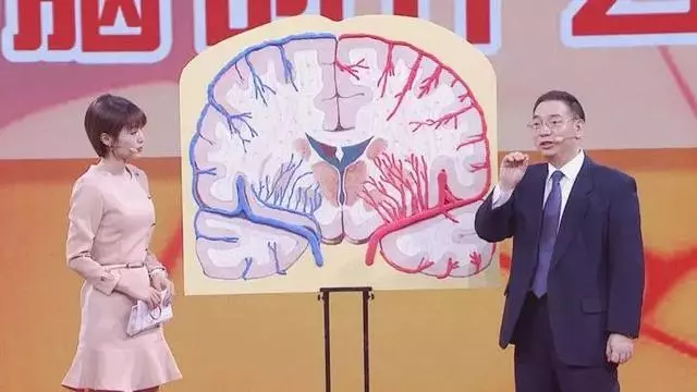 養血管就是養壽命!醫生提醒:常吃6物,血管強韌更「年輕」