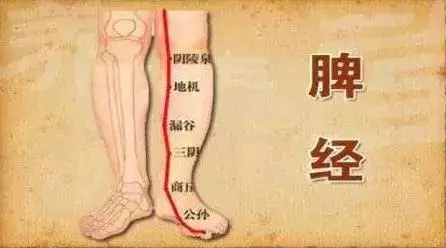 它是中醫認為的身體最重要的地方!它好了才會生病少!
