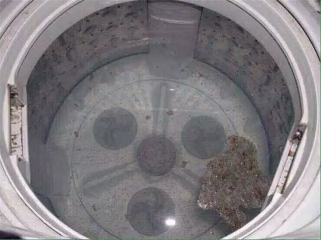 洗衣機60天不洗,細菌比馬桶還多!教你一個小方法,1年不用清洗都很乾凈!