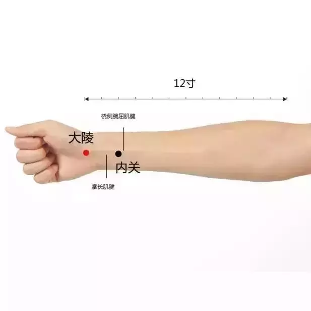 最全穴位合集,1分鐘學會如何自治!自己才是最好的醫生!
